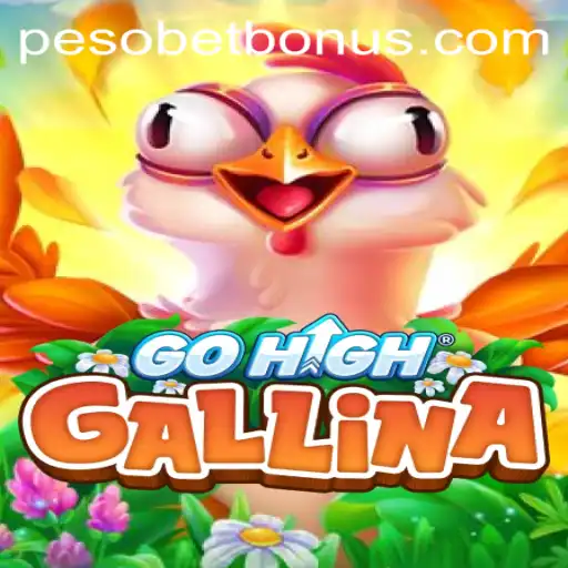 Exploring the Dynamic Realm of GoHighGallina